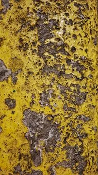 Close up of Road asphalt background. Stock Photos