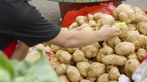 Close Up of Roadside Vendor Arranging Fresh Sweet Potatoes for Display Stock Footage 341312207
