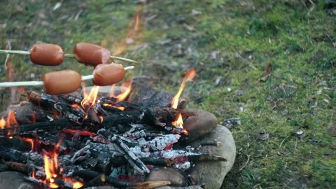 Close up of roast sausage over campfire. Sliced sausages Stock Footage 237611428
