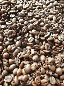 Close-up of roasted and aromatic coffee beans Stock Photos