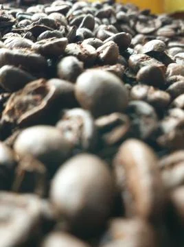 Close-up of roasted and aromatic coffee beans Stock Photos