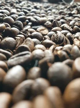 Close-up of roasted and aromatic coffee beans Stock Photos