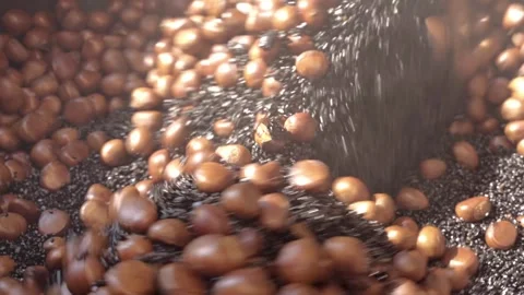 Close Up of Roasted Chestnuts Tumbling In Black Sand Rotating Drum Machine 스톡 동영상 338164354