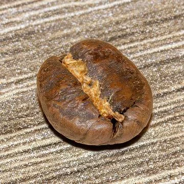 Close-Up of a Roasted Coffee Bean Stock-Fotos