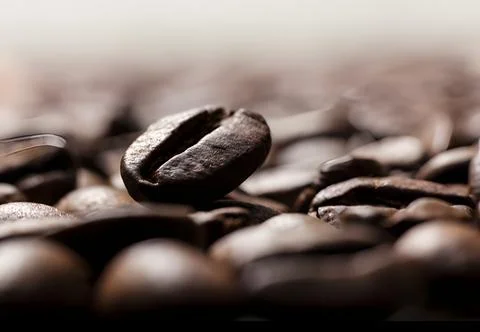Close-up of a roasted coffee bean Stock Photos