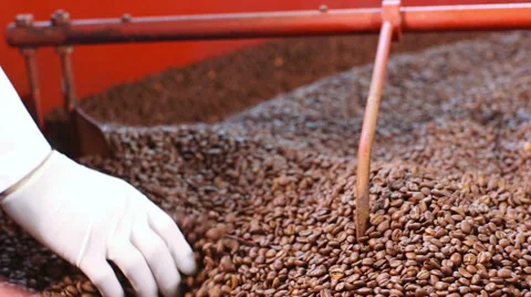 Close up roasted coffee beans being turned &amp; stirred in industrial machine Video stock 52314073