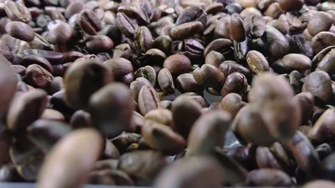 Close-up of roasted coffee beans bouncing on the coffee texture Stock Footage 148871353
