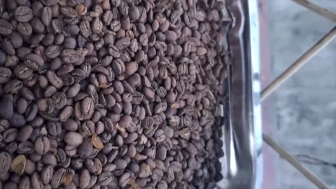 Close up of roasted coffee beans in a container Vídeo Stock 338169346