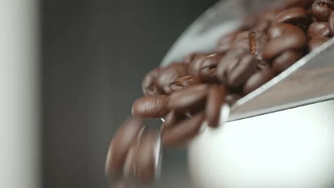 Close-up of roasted coffee beans falling down from metal scoop Stock Footage 153278371