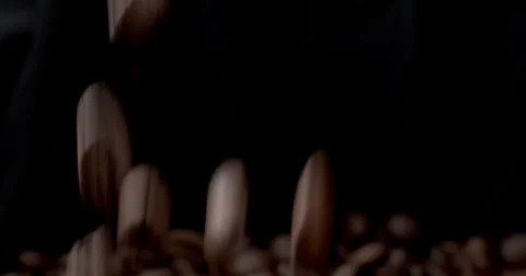 Close-Up of Roasted Coffee Beans Macro Footage – Calibrated Colors Stock Footage 317191751