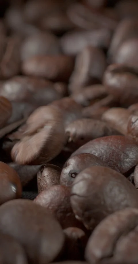Close-Up of Roasted Coffee Beans Macro Footage – Calibrated Colors Stock Footage 317191770