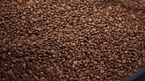 Close-up of roasted coffee beans moving in a cooling tray. Stock Footage 327394861