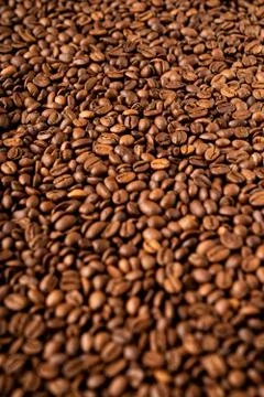 Close-up of roasted coffee beans 스톡 사진