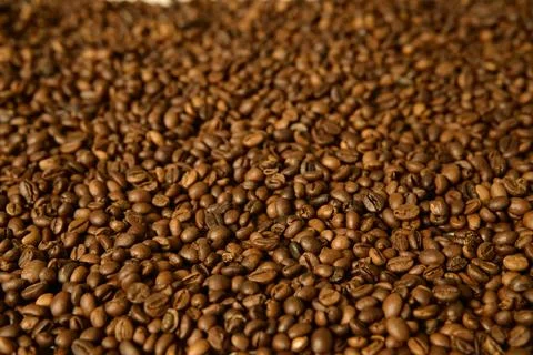 Close-up of roasted coffee beans Stock Photos