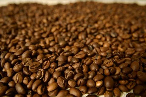 Close-up of roasted coffee beans Stock Photos