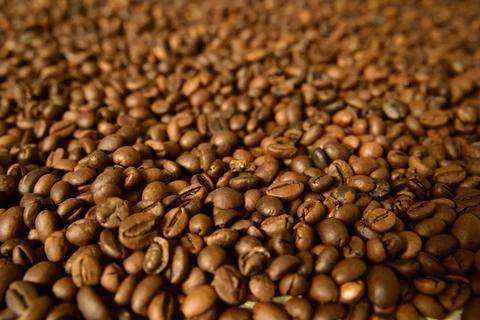 Close-up of roasted coffee beans Stock Photos