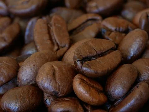 Close-up of Roasted Coffee Beans, Selected Focus Stock Photos