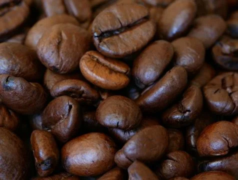 Close-up of Roasted Coffee Beans, Selected Focus Stockfoto's