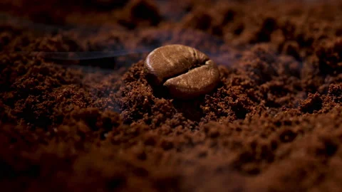 Close up of roasted coffee beans with a smoke Stockbeeldmateriaal 131575997