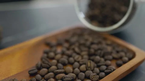 Close up roasted coffee beans on the wooden tray. Coffea excelsa. Stock Footage 219857786