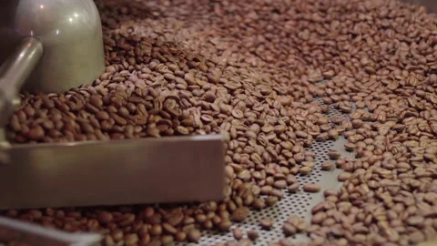 Close Up Of Roasted Coffee Stock Footage 144838498