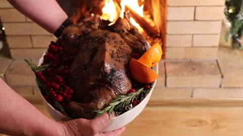 Close-up of a roasted goose served on a platter with cranberries, orange slices  Stock Footage 326105165