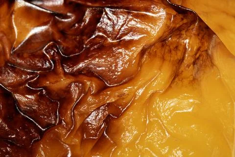 Close up of a Roasted Skin of Vegetable Pepper Abstract Roast Crispy and Ju.. Stock Photos