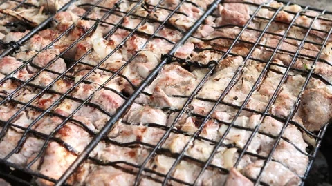 Close up of Roasting fresh juicy marinated meat in burning charcoals open fire Stock Footage 244920653