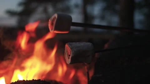 Close up. Roasting marshmallows over camp bonfire on the beach at sunset Stock Footage 153317790