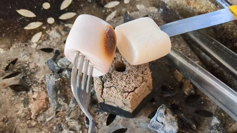 Close-up of roasting marshmallows over campfire. Stock Footage 263024077