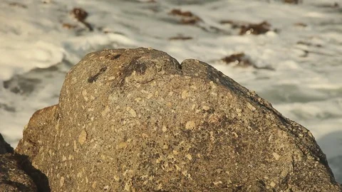 Close up on a rock with foam on the backgroung Stock Footage 73660345
