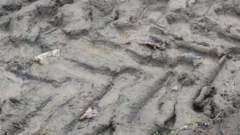 A close up of a rock Stock Footage 129578154