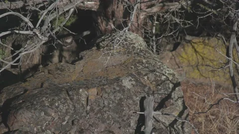 A close up of a rock Stock Footage 155355994