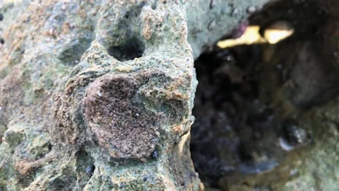 A close up of a rock Stock Footage 155399386