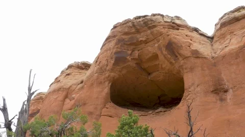 A close up of a rock Stock Footage 155584235