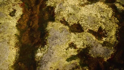 A close up of a rock 動画素材 156012240