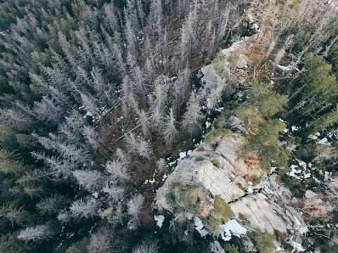 A close up of a rock a mountain Stock Photos