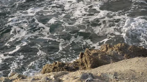 A close up of a rock near the ocean Video stock 155585653