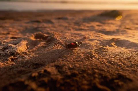 A close up of a rock Stock Photos