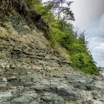 Close-up of rock texture Stock Photos