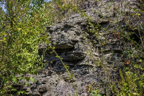 Close-up of rock texture Stock Photos