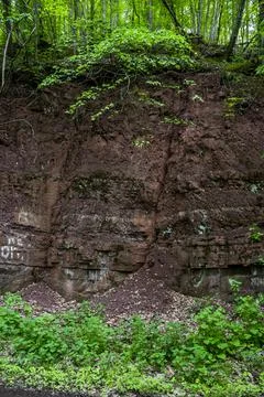 Close-up of rock texture Stock Photos