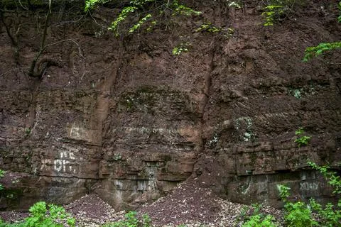 Close-up of rock texture Stock Photos
