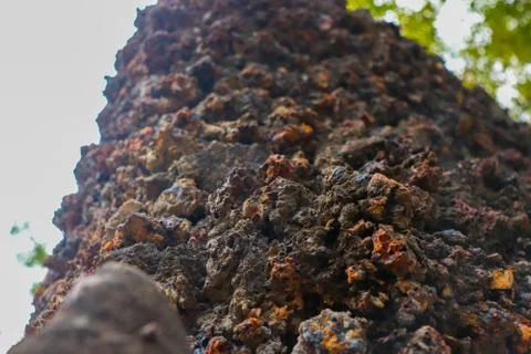 Close Up of rock wall with bokeh effect Fotos de archivo