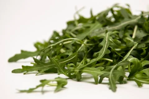Close up of rocket leaves Stock Photos
