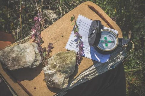 Close up rocks and flower samples with compass concept photo Фото