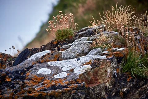Close up of rocks at the cliff Stock Photos