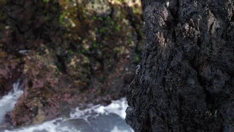 Close-up of rocks on the coast as the sea crashes against them Stock Footage 324882704