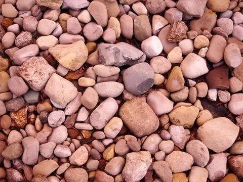 Close Up of Rocks on the ground 库存照片