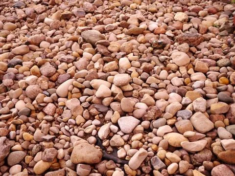 Close Up of Rocks on the ground Foto stock